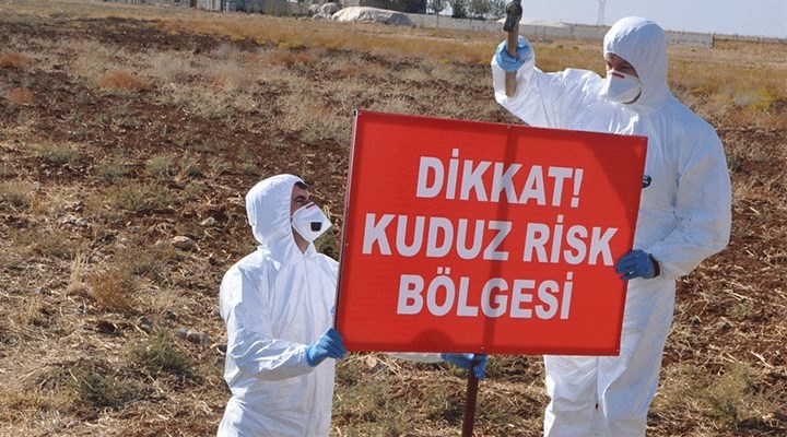 Tunceli'nin Hozat ilçesi kuduz vakası nedeniyle karantinaya alındı