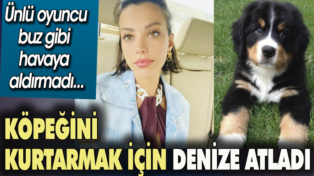 Ünlü oyuncu boğulmak üzere olan köpeğini kurtarmak için denize atladı