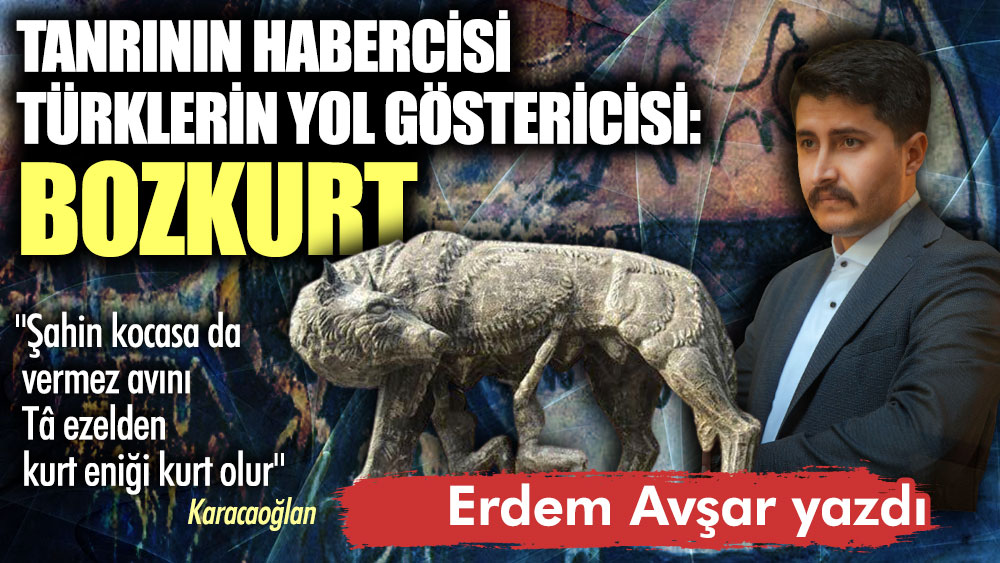 Tanrının habercisi Türklerin yol göstericisi: Bozkurt