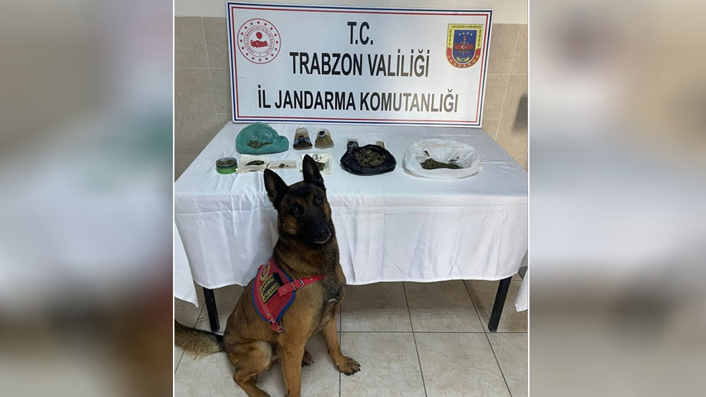Trabzon'daki uyuşturucu operasyonu: 2 gözaltı