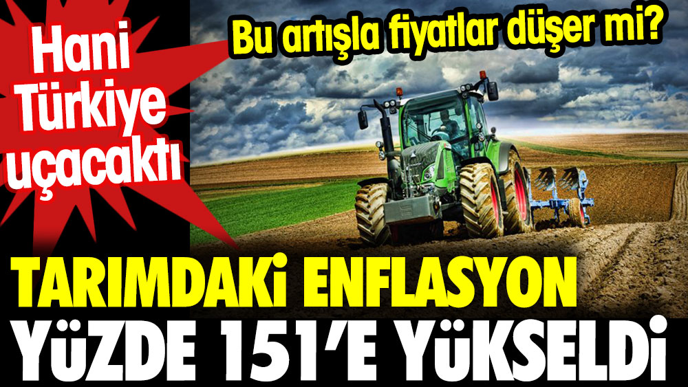 Hani Türkiye uçacaktı. Tarımda enflasyonu yıllık yüzde 151