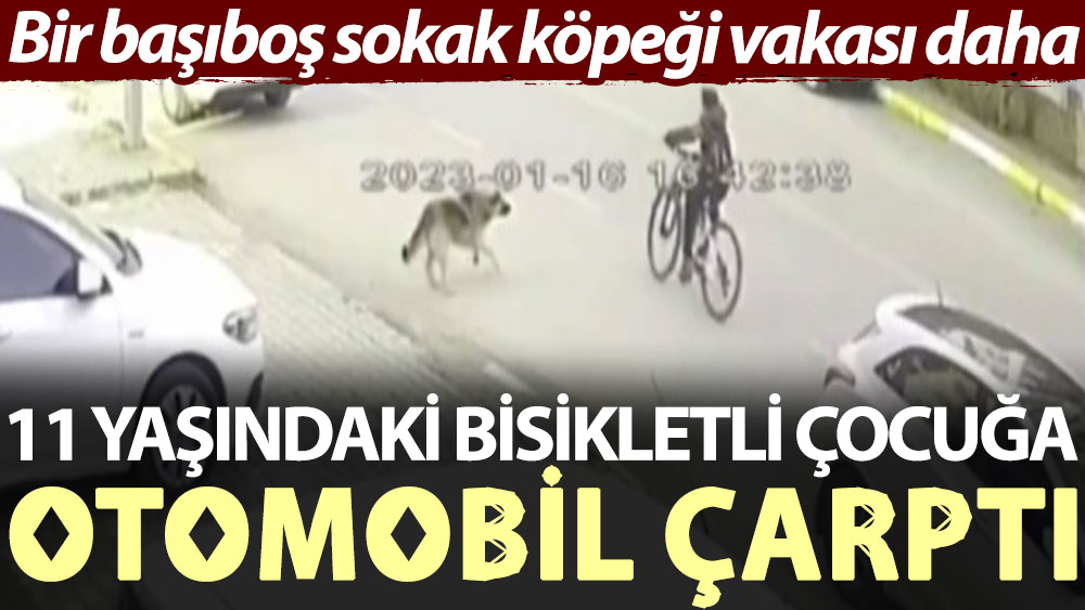 Bir başıboş sokak köpeği vakası daha: 11 yaşındaki bisikletli çocuğa otomobil çarptı