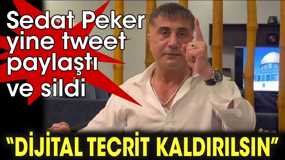 Sedat Peker yine tweet paylaştı ve sildi 'Dijital tecrit kaldırılsın'