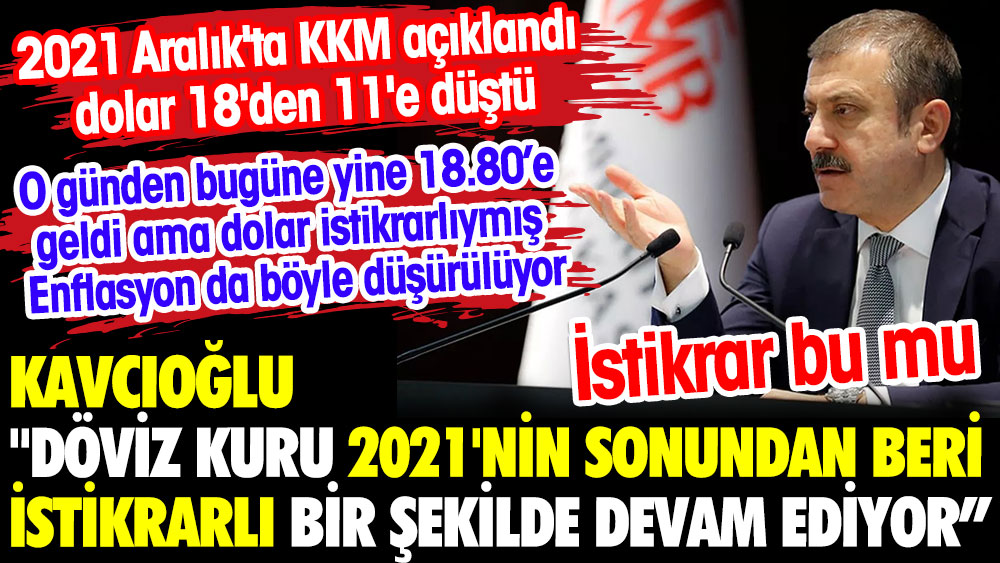Kavcıoğlu: Döviz kuru 2021'nin sonundan beri istikrarlı bir şekilde devam ediyor.