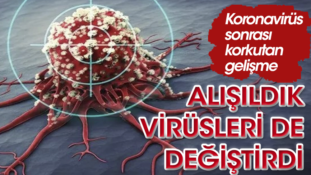 Koronavirüs alışıldık virüsleri de değiştirdi