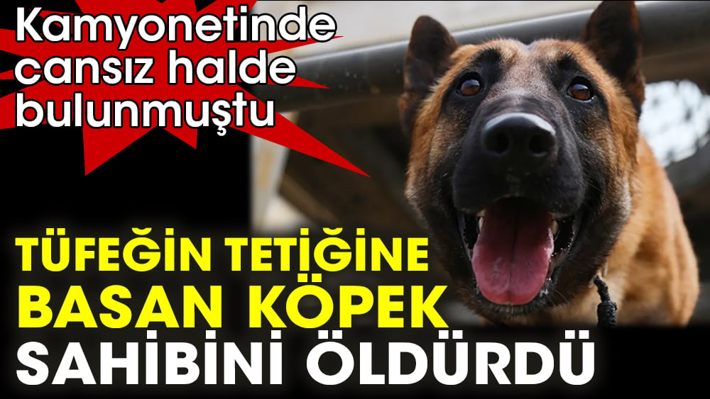 Kamyonetinde cansız halde bulunmuştu. Tüfeğin tetiğine basan köpek, sahibini öldürdü