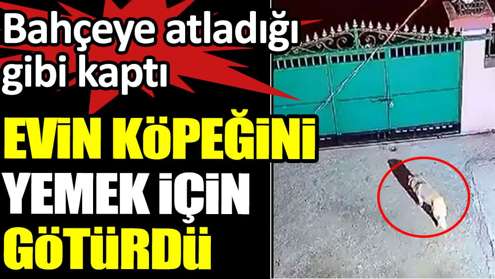 Evin köpeğini yemek için götürdü. Bahçeye atladığı gibi kaptı