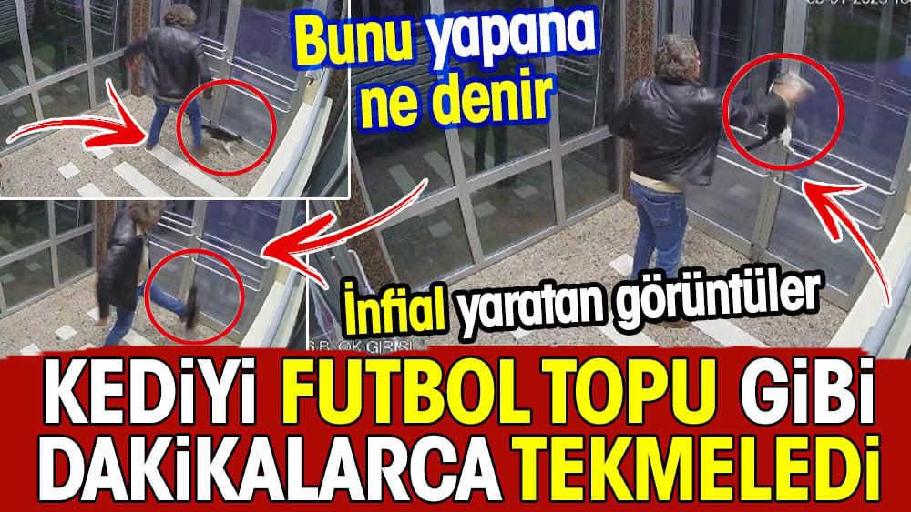 Kediyi dakikalarca futbol topu gibi tekmeledi. Bunu yapana ne denir?