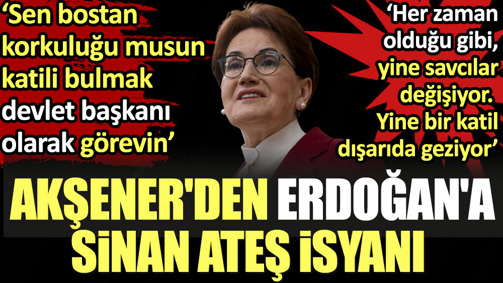 Akşener'den Erdoğan'a Sinan Ateş isyanı: Sen bostan korkuluğu musun. Katili bulmak devlet başkanı olarak görevin