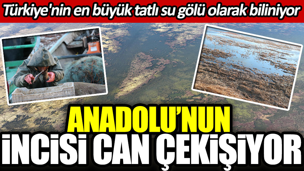 Anadolu’nun incisi Beyşehir Gölü can çekişiyor