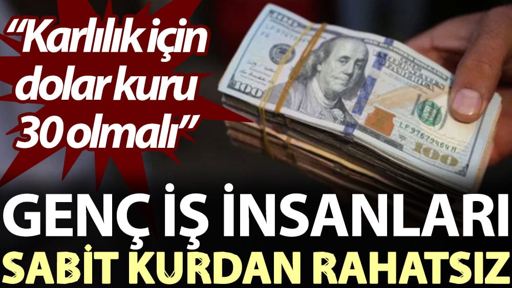 Genç iş insanları sabit kurdan rahatsız: Karlılık için dolar kuru 30 olmalı