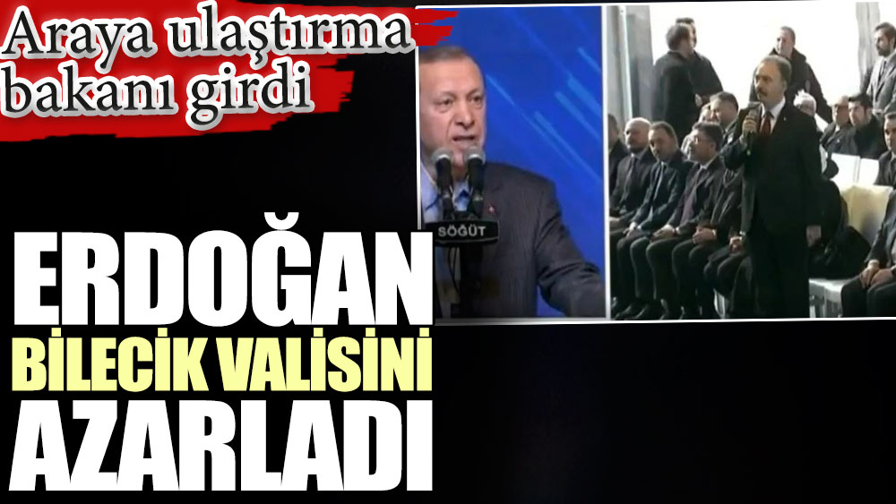 Erdoğan Bilecik valisini azarladı. Araya bakan Karaismailoğlu girdi