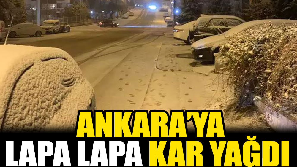 Ankara'ya lapa lapa kar yağdı
