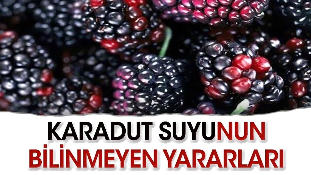 Karadut suyunun bilinmeyen yararları