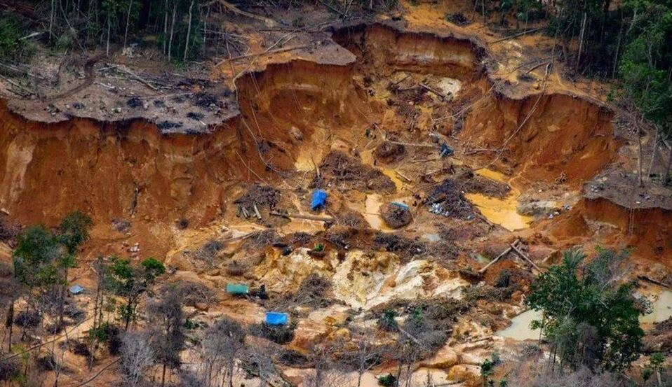 Brezilya’da yerlileri yasa dışı altın madencilerine karşı operasyon başlatıldı