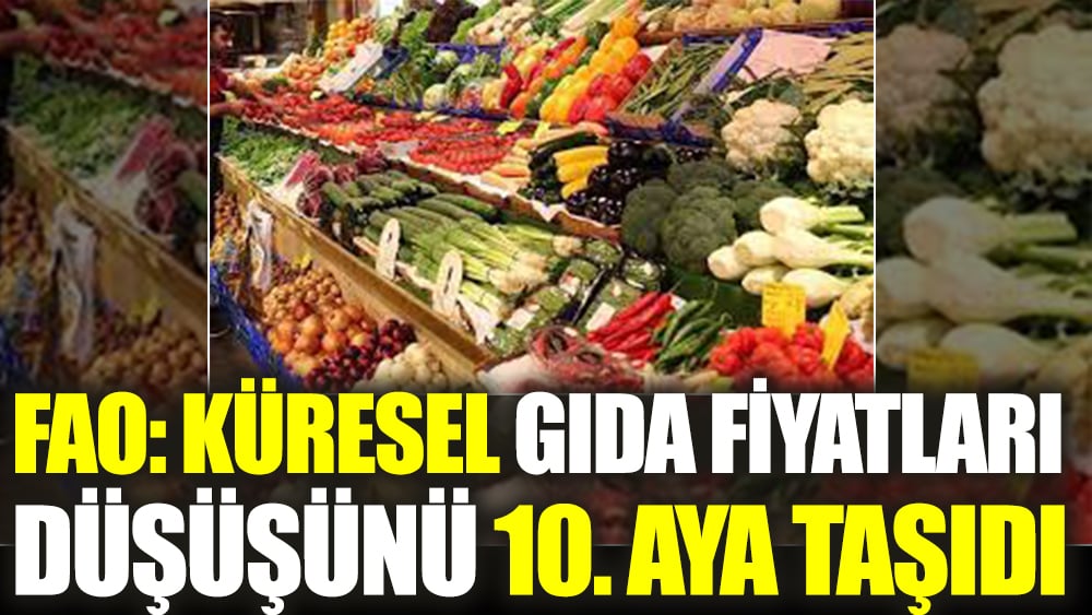 FAO: Küresel gıda fiyatları düşüşünü 10. aya taşıdı