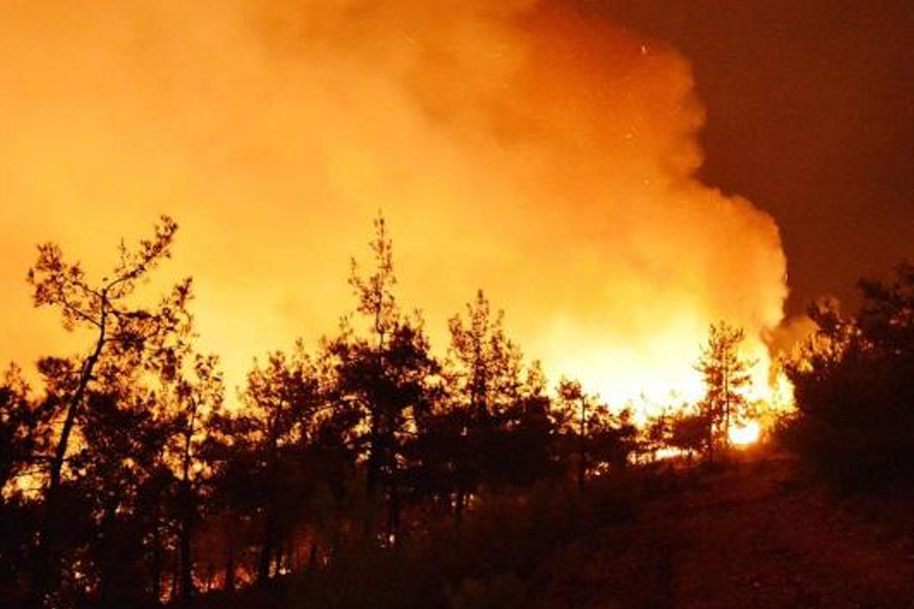 Şili'de orman yangınlarında hayatını kaybedenlerin sayısı 13'e yükseldi