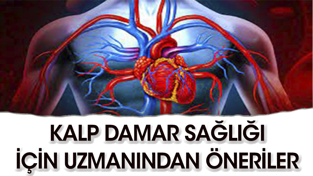 3 uzmandan kalp ve damar sağlığı ipuçları