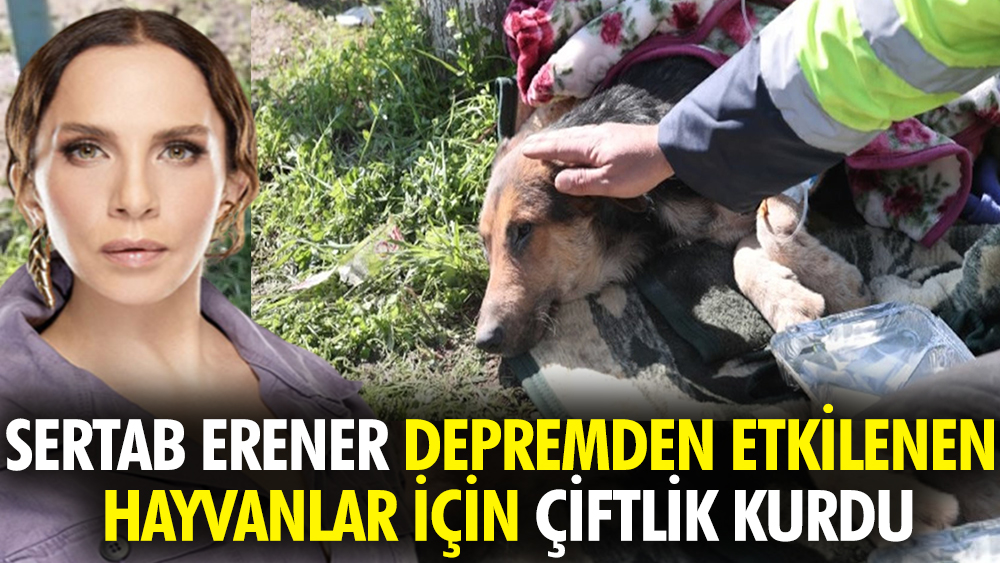 Sertab Erener depremden etkilenen barınak hayvanları için çiftlik kurdu