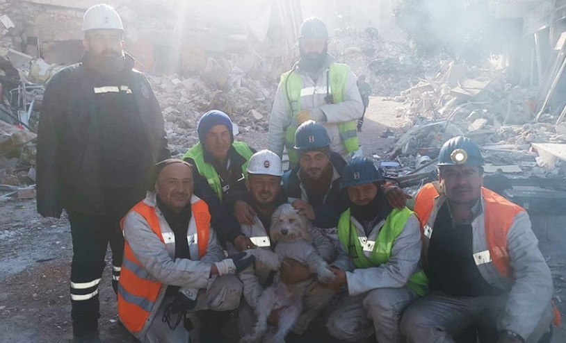 Depremde hasar gören binada mahsur kalmıştı. Köpekği madenciler tarafından kurtarıldı
