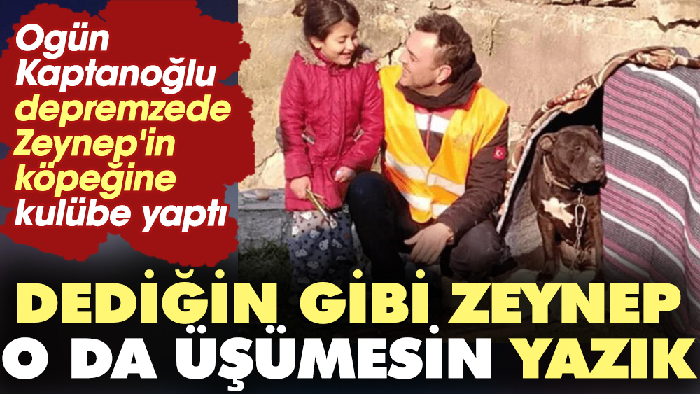 Ogün Kaptanoğlu depremzede Zeynep'in köpeğine kulübe yaptı. "Dediğin gibi Zeynep, o da üşümesin yazık"