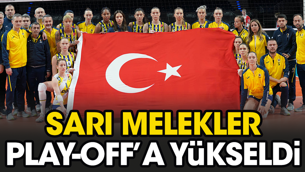 Fenerbahçe Şampiyonlar Ligi'nde play-off'a çıktı