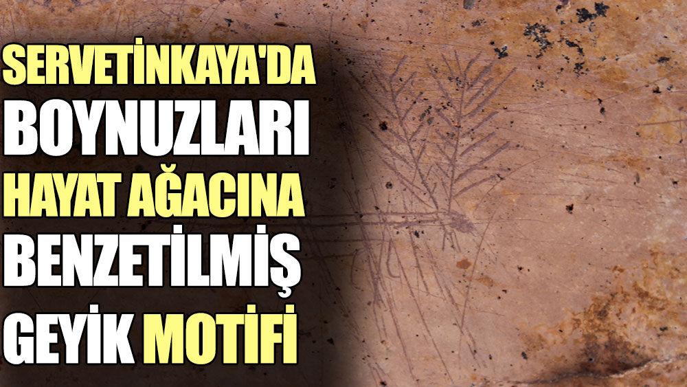 Servetinkaya'da boynuzları hayat ağacına benzetilmiş geyik motifi