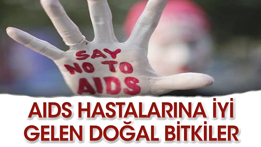 HIV pozitif hastalarının doğal şifa depoları nelerdir?