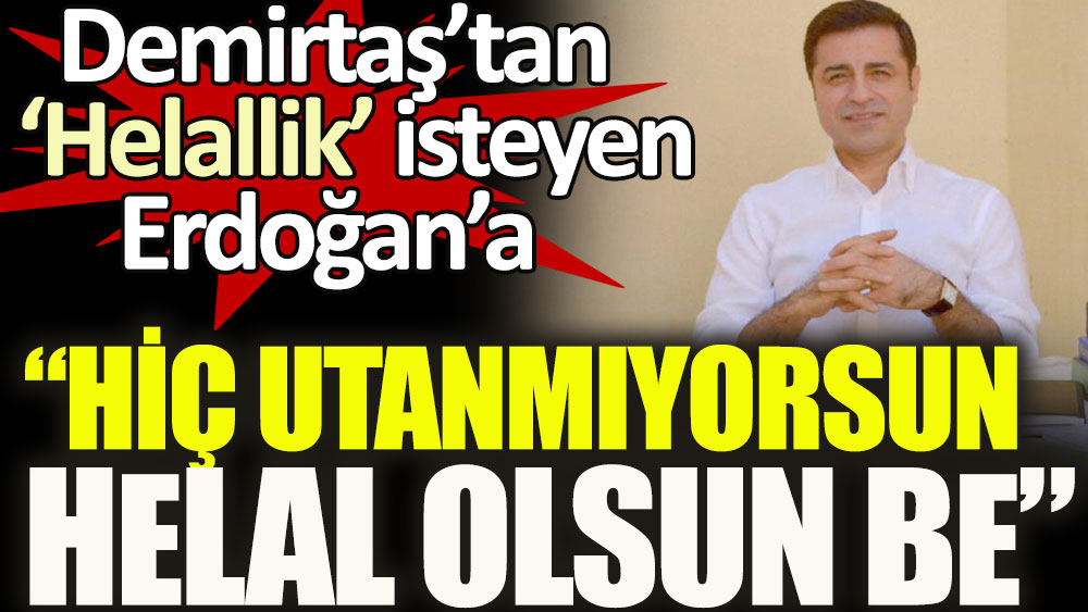 Demirtaş'tan 'Helallik' isteyen Erdoğan’a: Hiç utanmıyorsun. Helal olsun be