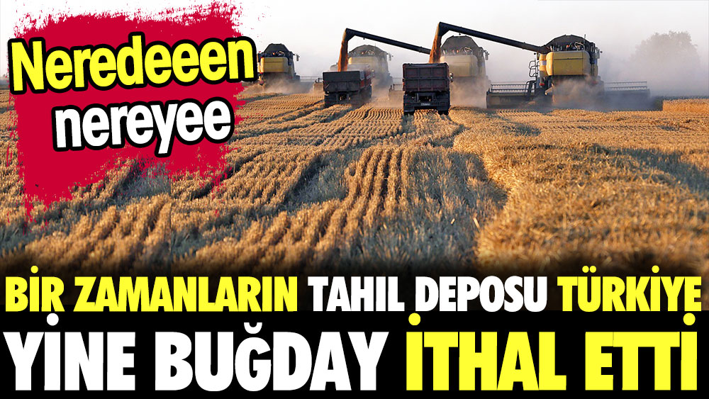 Bir zamanların tahıl deposu Türkiye yine buğday ithal etti. Neredeeeeen nereyee