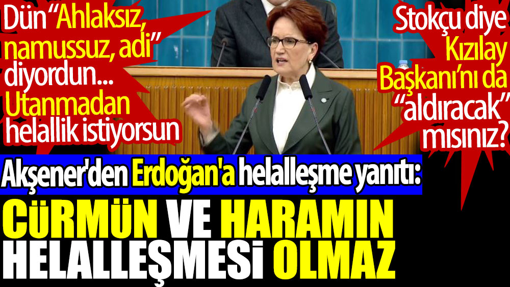 Meral Akşener'den Erdoğan'a: Cürmün ve haramın helalleşmesi olmaz