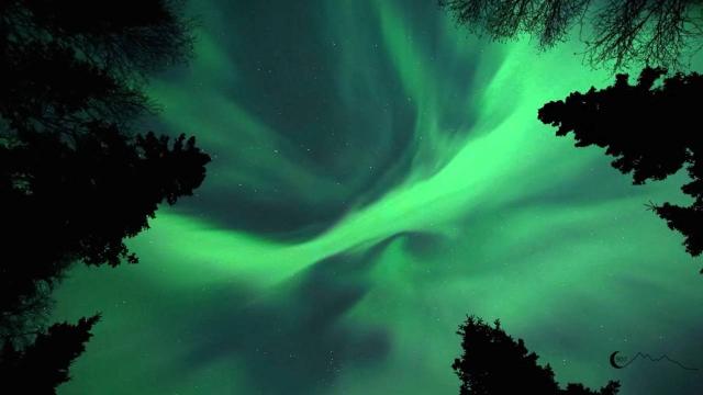 Kuzey ışıkları Alaska'da izleyenleri büyüledi