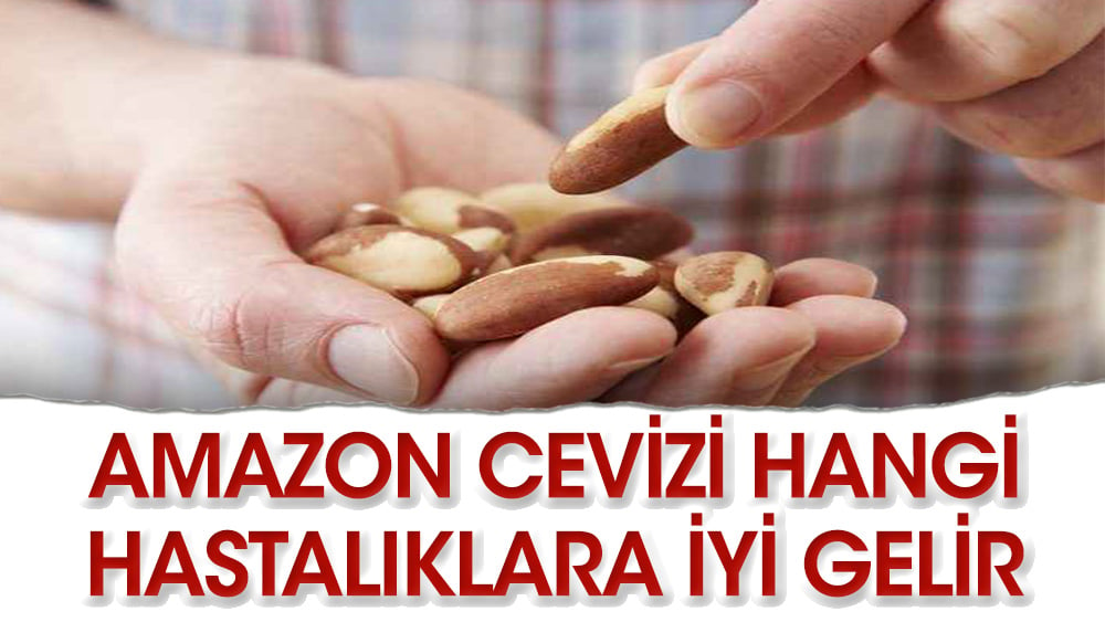 Amazon cevizi hangi hastalıklara iyi gelir?