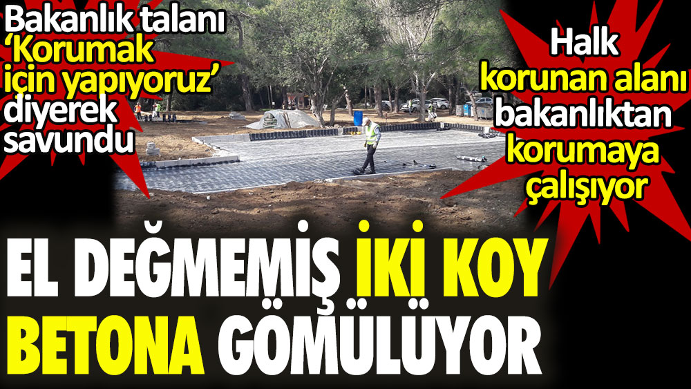 El değmemiş iki koy betona gömülüyor. Bakanlık talanı ''Korumak için yapıyoruz'' diyerek savundu