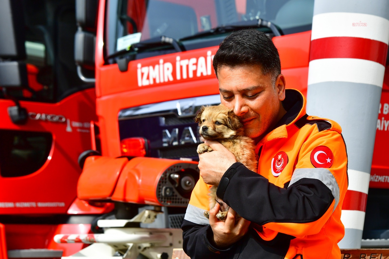 Depremzede köpek yeni yuvasını İzmir'de buldu