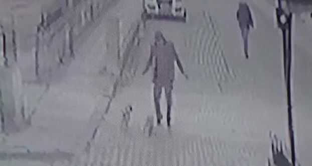 İki minik köpeğin kovaladığı adam böyle kaçtı