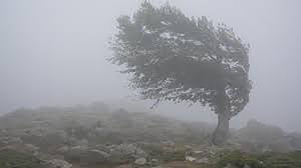 AFAD'dan Doğu ve Güneydoğu için kuvvetli rüzgar ve fırtına uyarısı