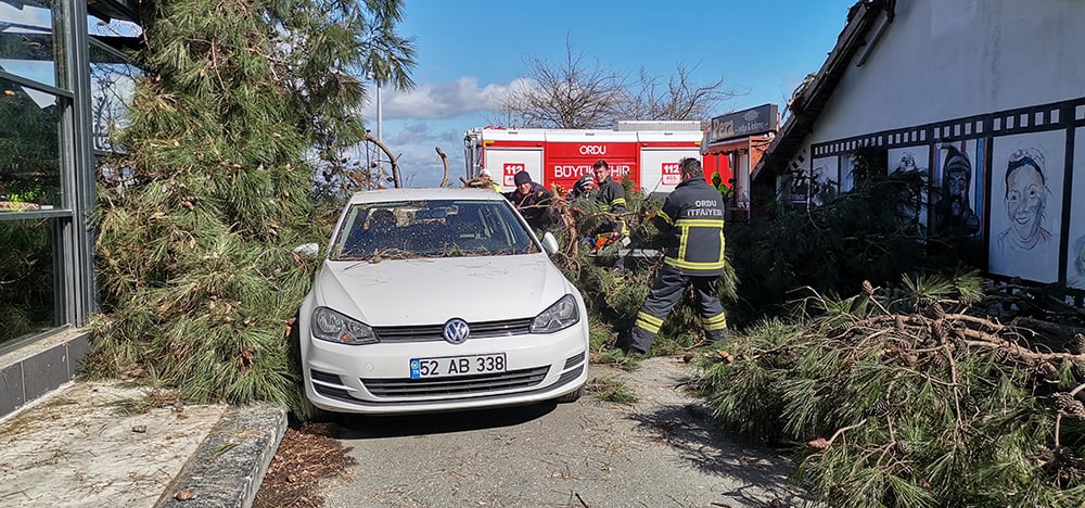 Ordu’yu şiddetli rüzgar vurdu! İş yeri ve otomobiller zarar gördü