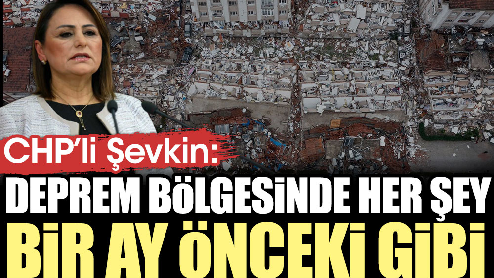 CHP'li Şevkin: Deprem bölgesinde her şey bir ay önceki gibi