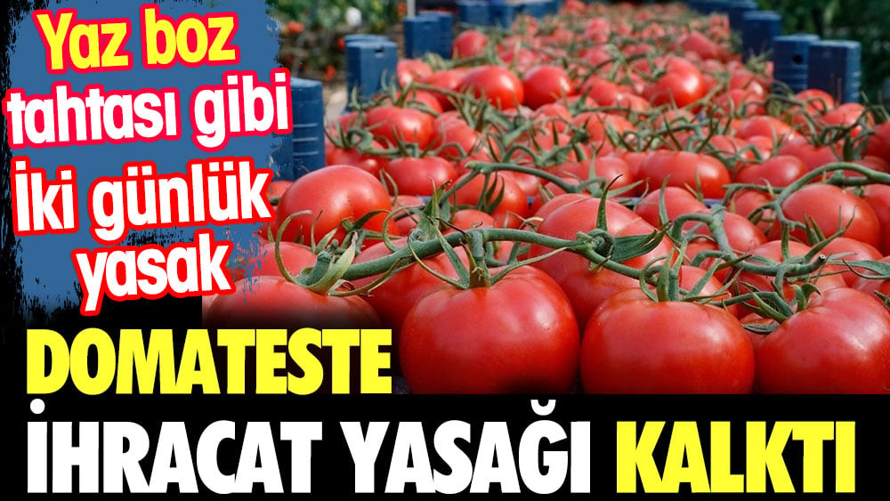 Domates ihracatında yasak kaldırıldı. Çiftçiler tepki gösterince iktidar geri attı