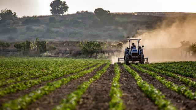 Tarım sektöründeki ihracat ocak-şubat rekoru kırıldı