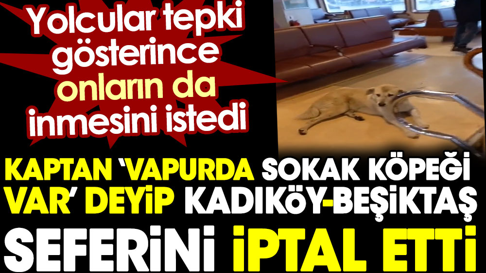 Kaptan 'vapurda sokak köpeği var' diye Kadıköy-Beşiktaş seferini iptal etti. Yolcular tepki gösterince onların da inmesini istedi