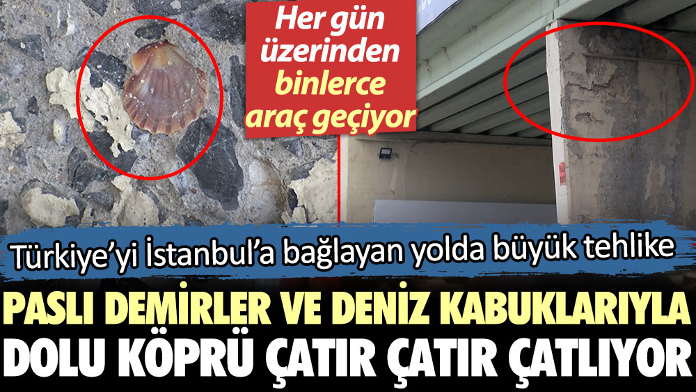Paslı demirler ve deniz kabuklarıyla dolu köprü çatır çatır çatlıyor. Türkiye’yi İstanbul’a bağlayan yolda büyük tehlike