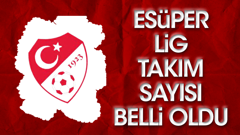 TFF'den e Süper Lig açıklaması: 17 takımla oynanacak