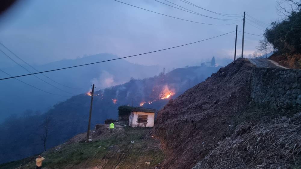 Temizlik için yakılan ateş 115 dönüm orman alanını yaktı. 4 kişi gözaltına alındı