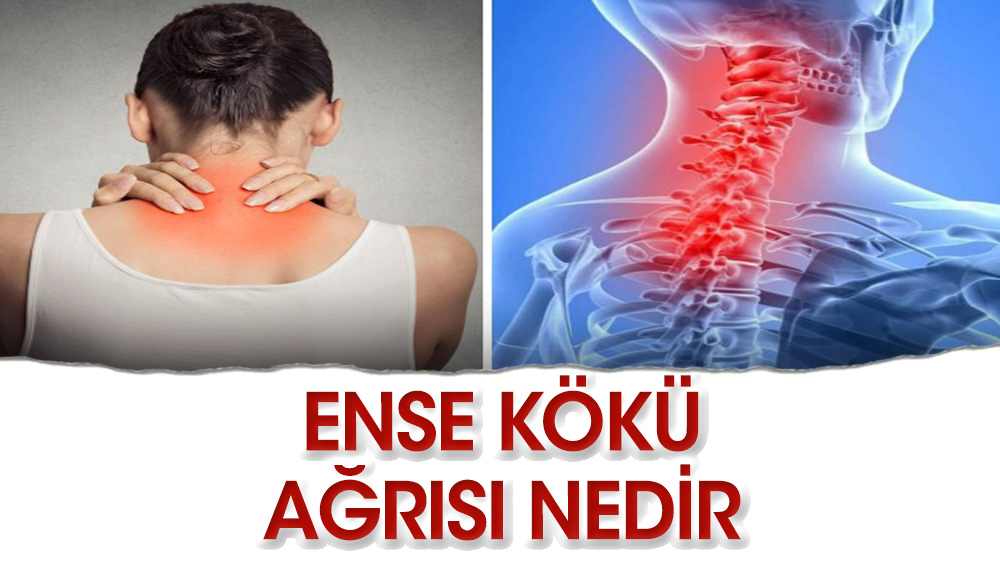 Ense ağrısının nedeni Sinüzit mi?