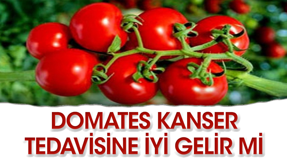 Kansere karşı savaşmak için domates yiyin