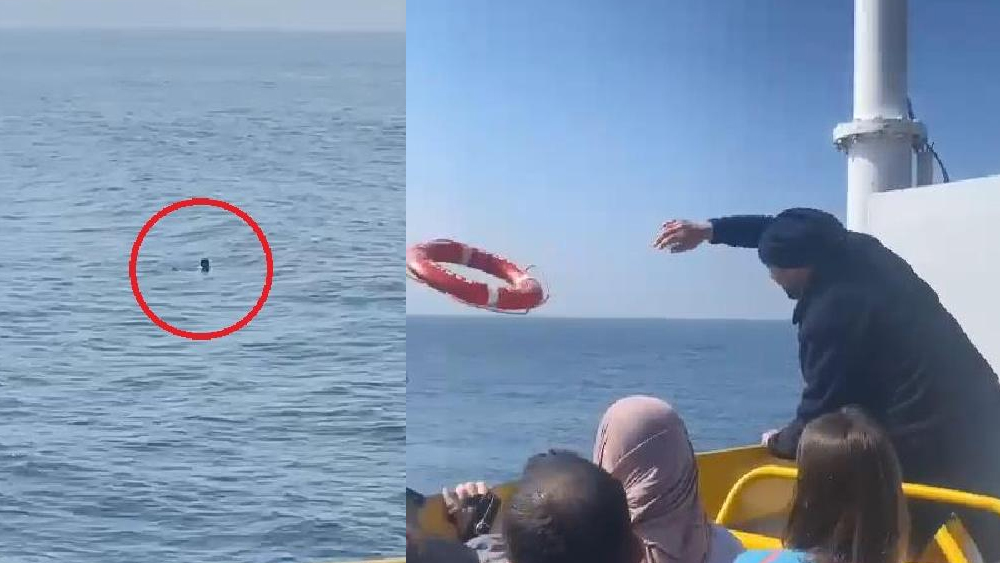 Marmara Denizi'nde feribottan atlayan yolcuyu Sahil Güvenlik ekibi kurtardı