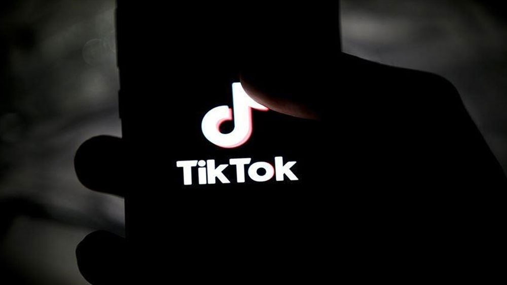 TikTok'a bir engel de Hollanda'dan geldi