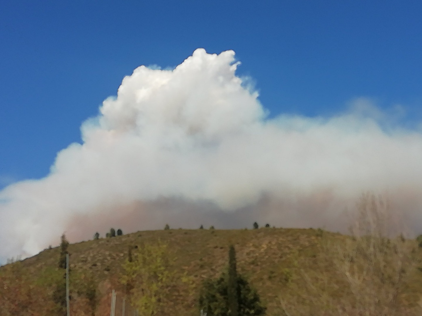 İspanya’da orman yangını. Binden fazla kişi tahliye edildi